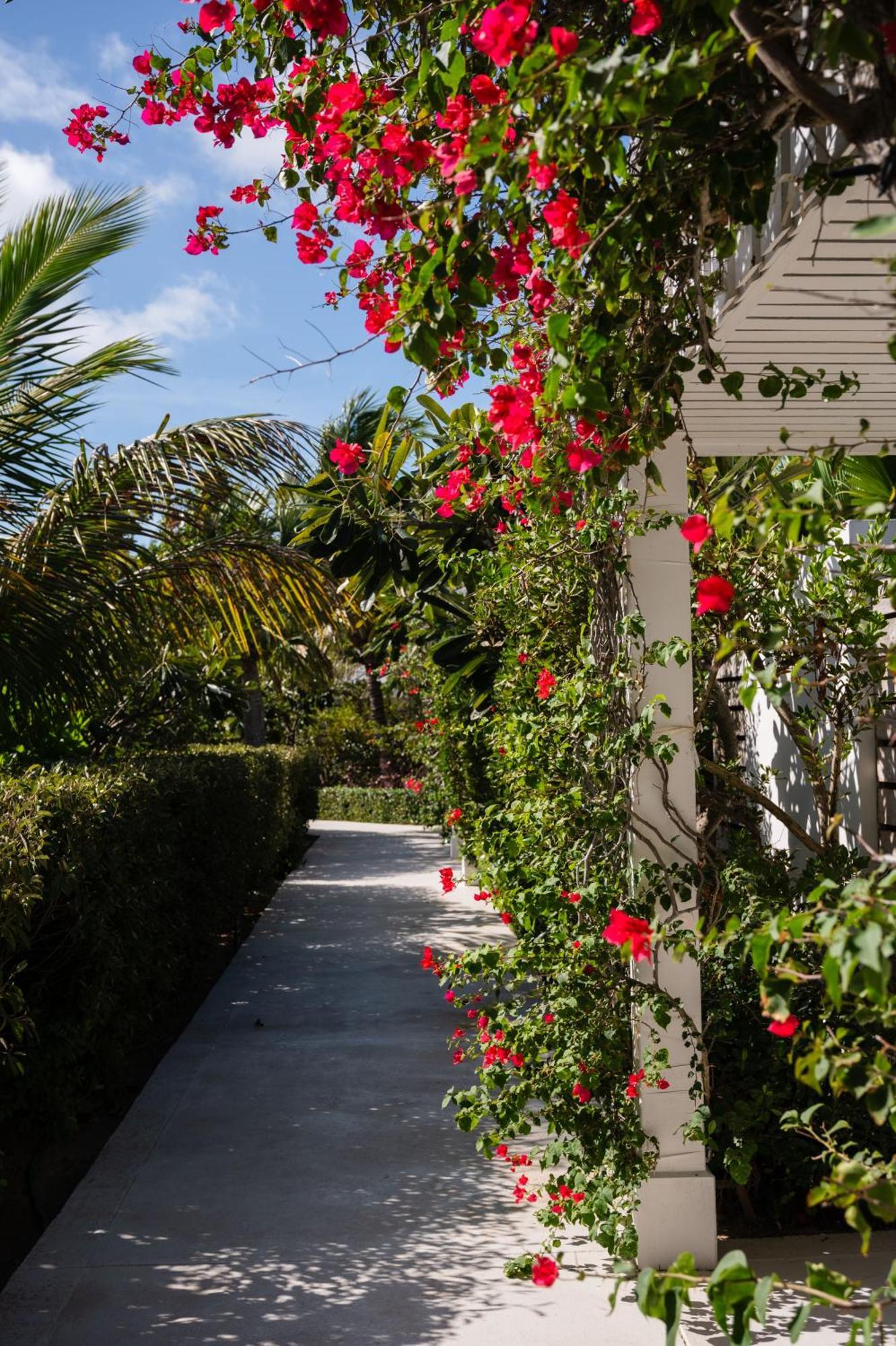 The Meridian Club, Turks And Caicos Pine Cay 외부 사진